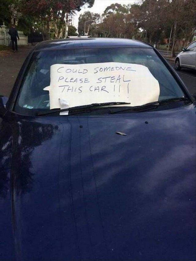 Morning Picdump