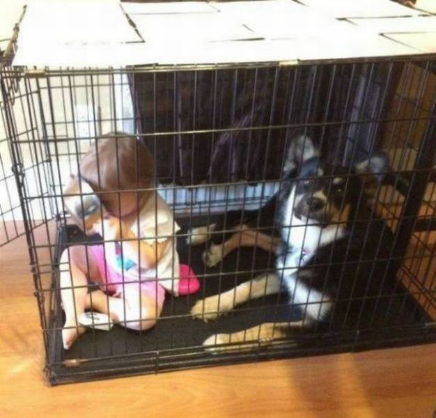 daily picdump 88 pics 44.html - 88 HD Photos | Premium Gallery 2017