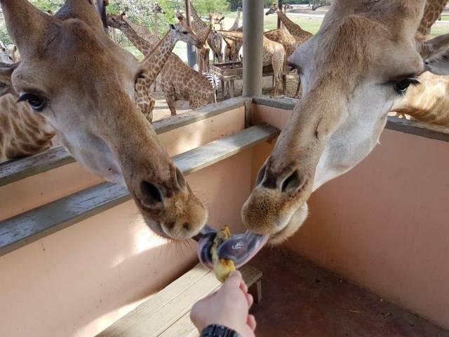 daily picdump 88 pics 44.html - 88 HD Photos | Premium Gallery 2017