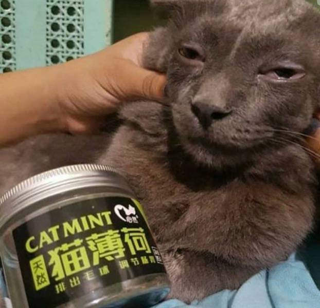 daily picdump 88 pics 7.html - 88 HD Photos | Premium Gallery 2017