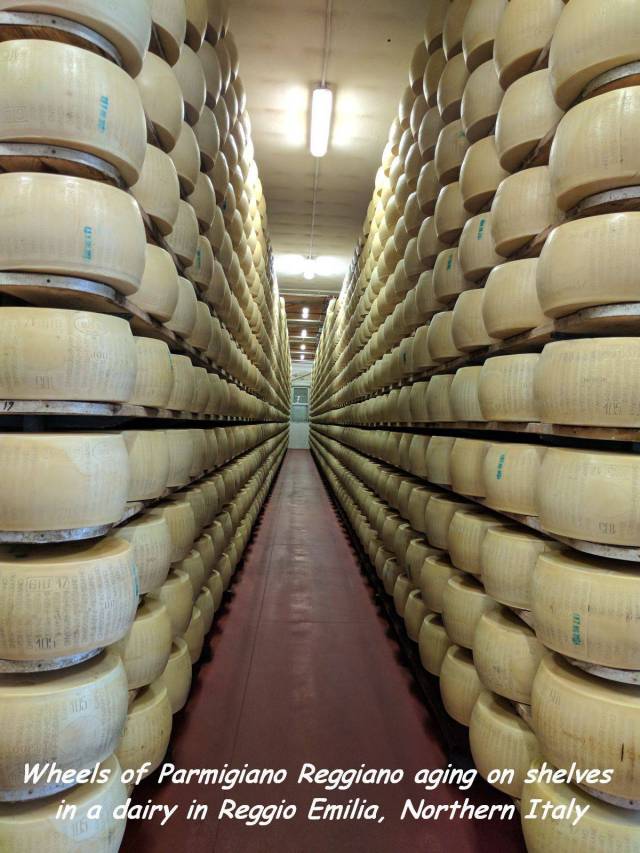 daily picdump 88 pics 7.html - 88 HD Photos | Premium Gallery 2017