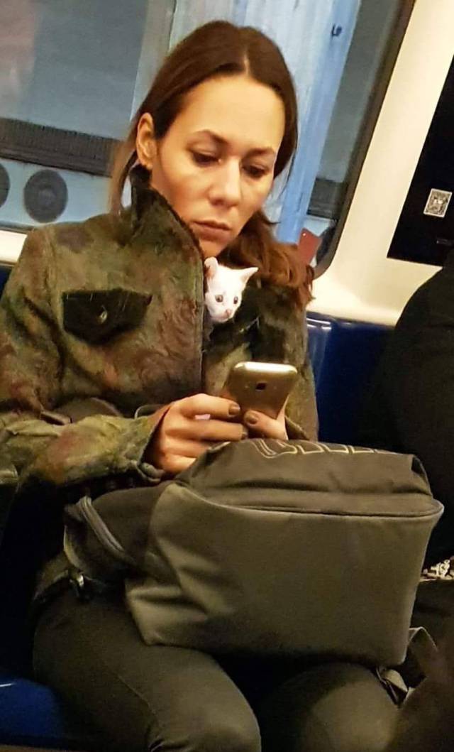 daily picdump 88 pics 7.html - 88 HD Photos | Premium Gallery 2017