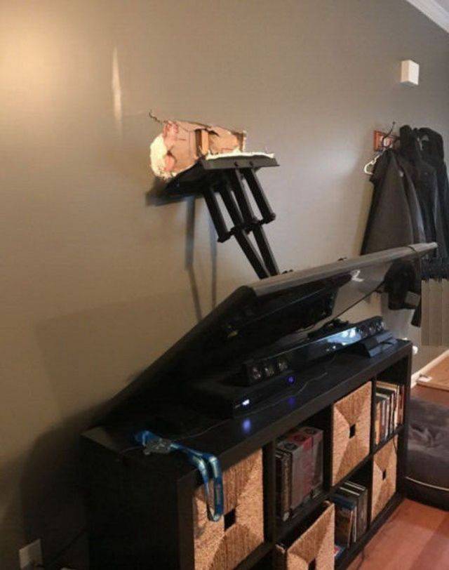 daily picdump 88 pics 7.html - 88 HD Photos | Premium Gallery 2017