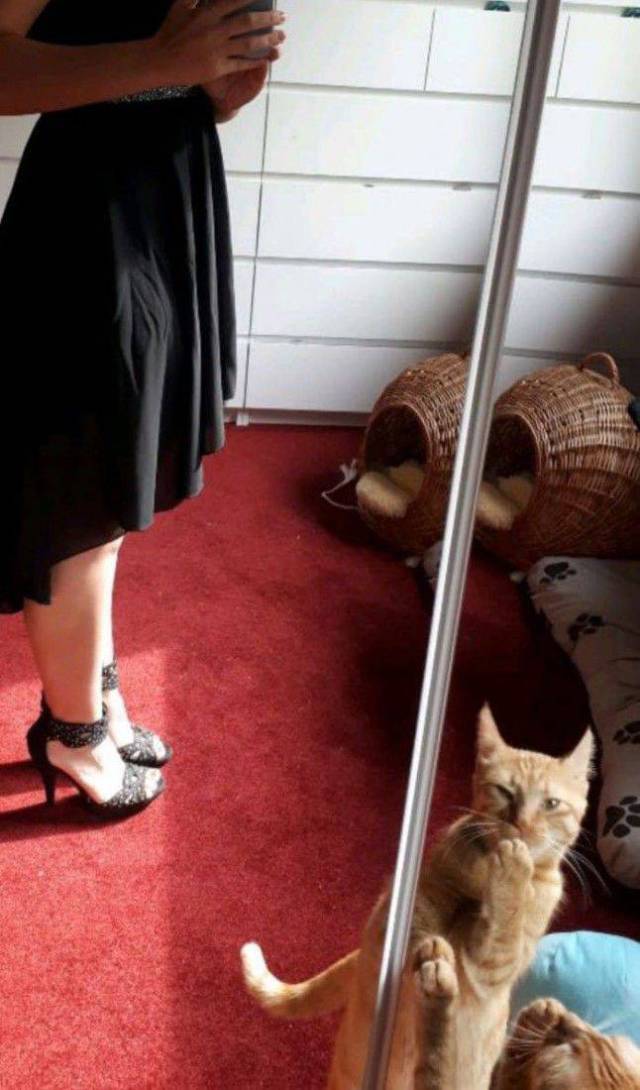 daily picdump 88 pics 7.html - 88 HD Photos | Premium Gallery 2017