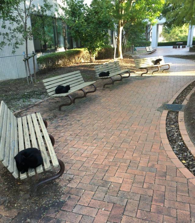 daily picdump 88 pics 7.html - 88 HD Photos | Premium Gallery 2017