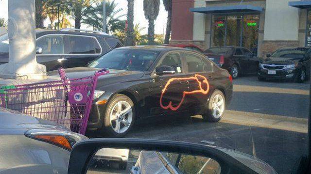 daily picdump 91 pics 41.html - 91 HD Photos | Premium Gallery 2017