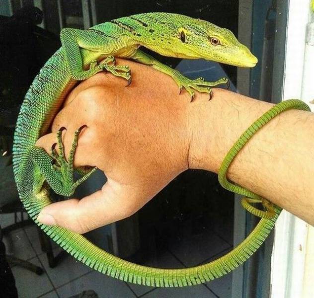 daily picdump 91 pics 41.html - 91 HD Photos | Premium Gallery 2017