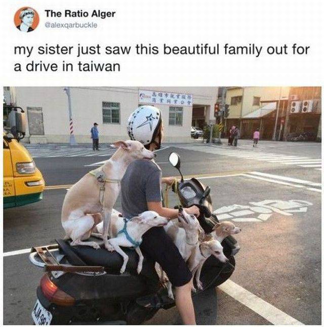 daily picdump 91 pics 41.html - 91 HD Photos | Premium Gallery 2017