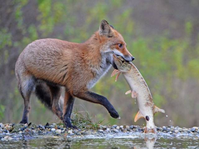 morning picdump 56 pics 25.html - 56 HD Photos | Premium Gallery 2017