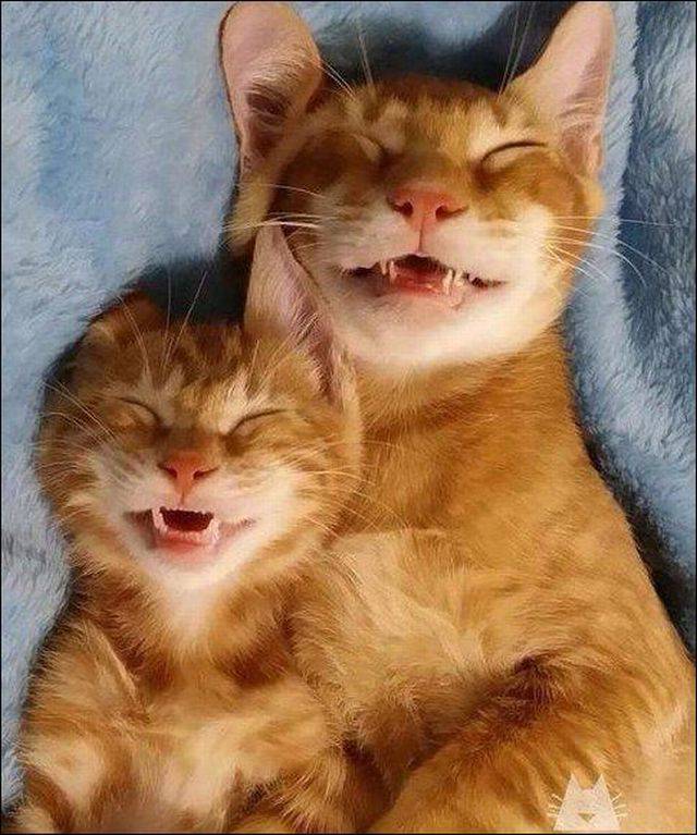 morning picdump 56 pics 25.html - 56 HD Photos | Premium Gallery 2017