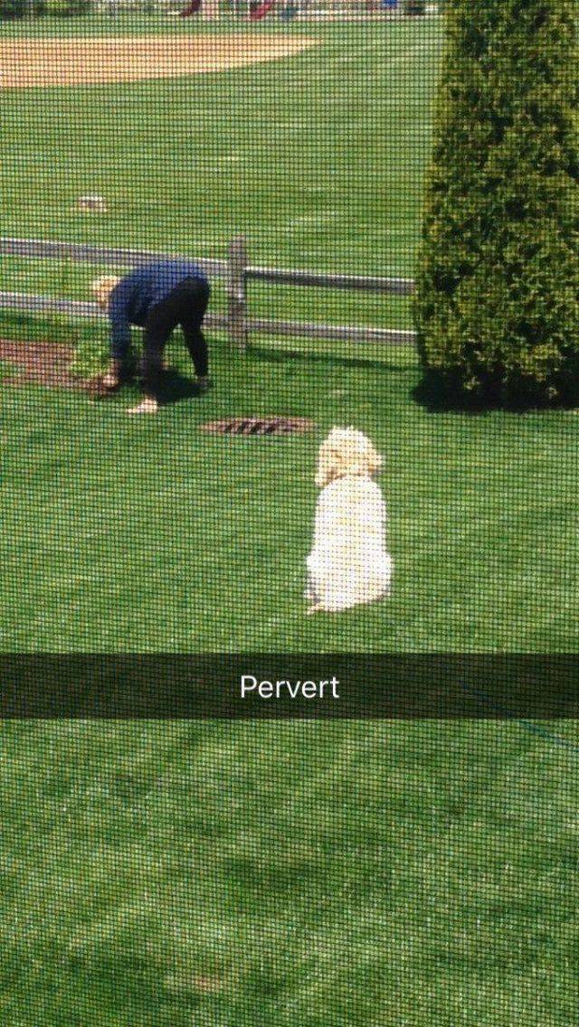 morning picdump 56 pics 25.html - 56 HD Photos | Premium Gallery 2017