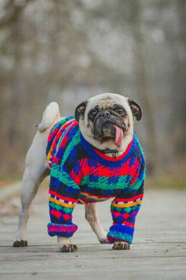 morning picdump 56 pics 25.html - 56 HD Photos | Premium Gallery 2017