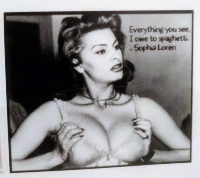 daily picdump 88 pics 4.html - 88 HD Photos | Premium Gallery 2017