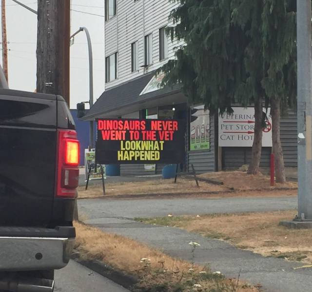 daily picdump 88 pics 4.html - 88 HD Photos | Premium Gallery 2017