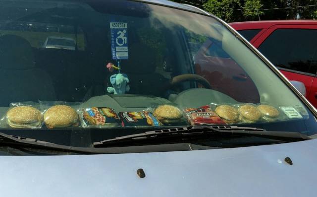 daily picdump 88 pics 4.html - 88 HD Photos | Premium Gallery 2017