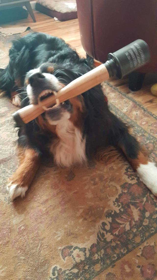 daily picdump 88 pics 4.html - 88 HD Photos | Premium Gallery 2017