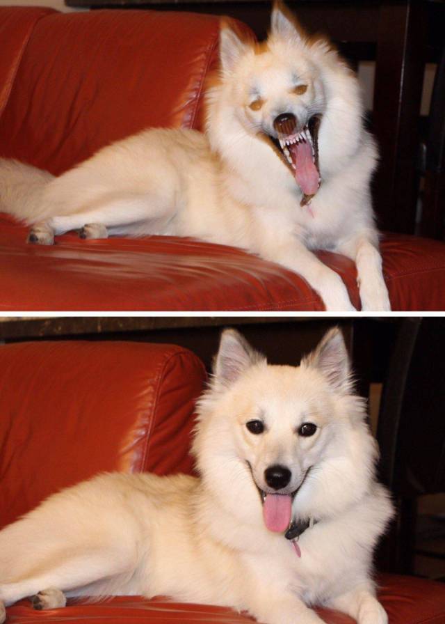 daily picdump 88 pics 4.html - 88 HD Photos | Premium Gallery 2017