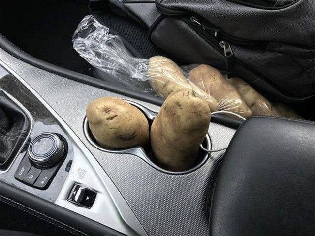 morning picdump 56 pics 16.html - 56 HD Photos | Premium Gallery 2017