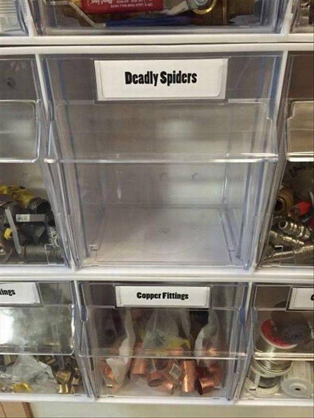 morning picdump 56 pics 16.html - 56 HD Photos | Premium Gallery 2017