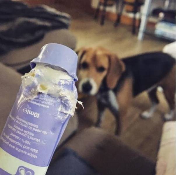 daily picdump 93 pics 9.html - 93 HD Photos | Premium Gallery 2017