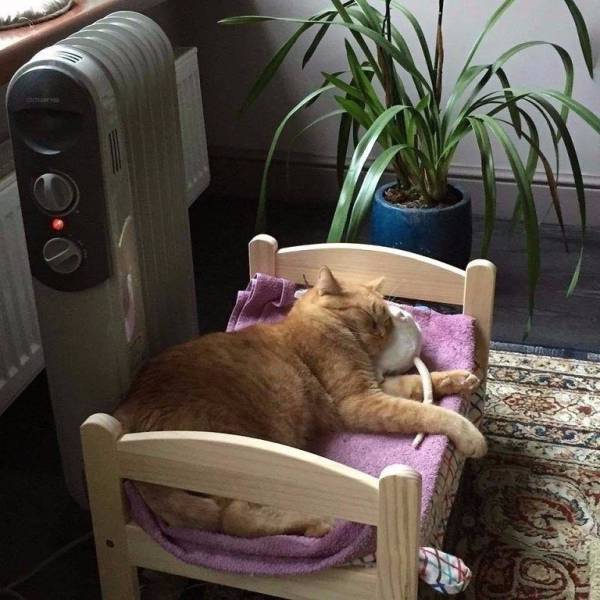 daily picdump 93 pics 9.html - 93 HD Photos | Premium Gallery 2017