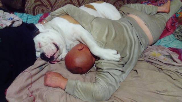 daily picdump 93 pics 9.html - 93 HD Photos | Premium Gallery 2017