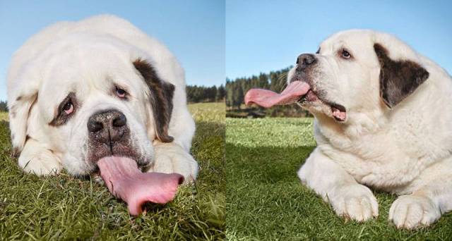 daily picdump 93 pics 9.html - 93 HD Photos | Premium Gallery 2017