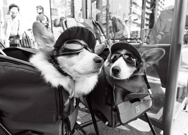 daily picdump 93 pics 9.html - 93 HD Photos | Premium Gallery 2017