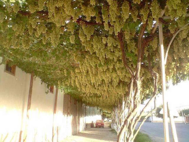 daily picdump 93 pics 9.html - 93 HD Photos | Premium Gallery 2017