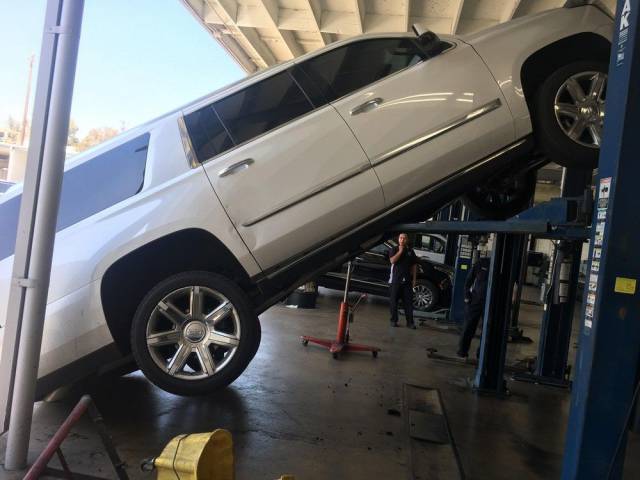 daily picdump 93 pics 9.html - 93 HD Photos | Premium Gallery 2017