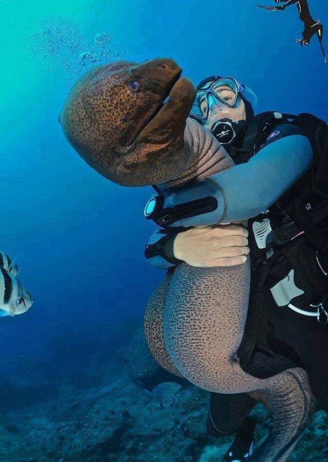 daily picdump 93 pics 9.html - 93 HD Photos | Premium Gallery 2017