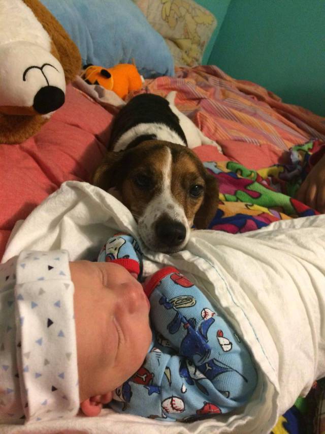 daily picdump 93 pics 9.html - 93 HD Photos | Premium Gallery 2017