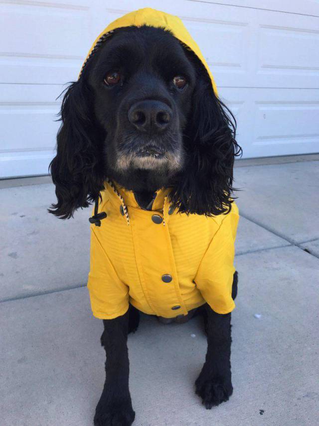 daily picdump 93 pics 9.html - 93 HD Photos | Premium Gallery 2017