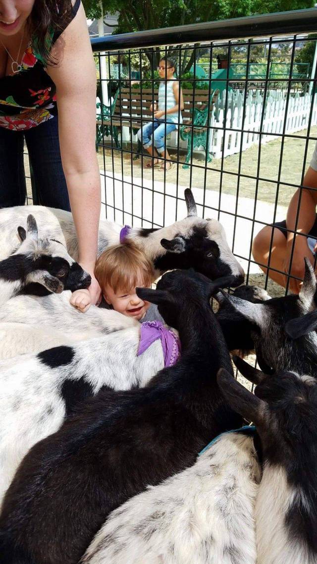 daily picdump 93 pics 9.html - 93 HD Photos | Premium Gallery 2017