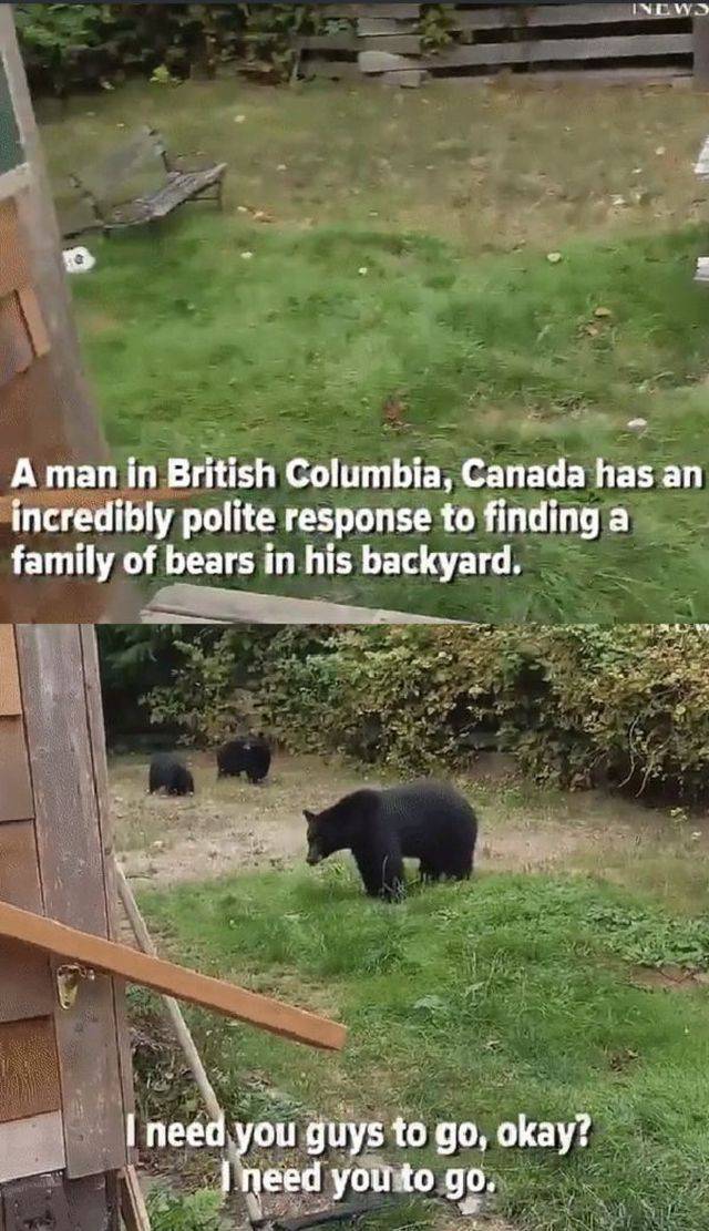 daily picdump 93 pics 9.html - 93 HD Photos | Premium Gallery 2017