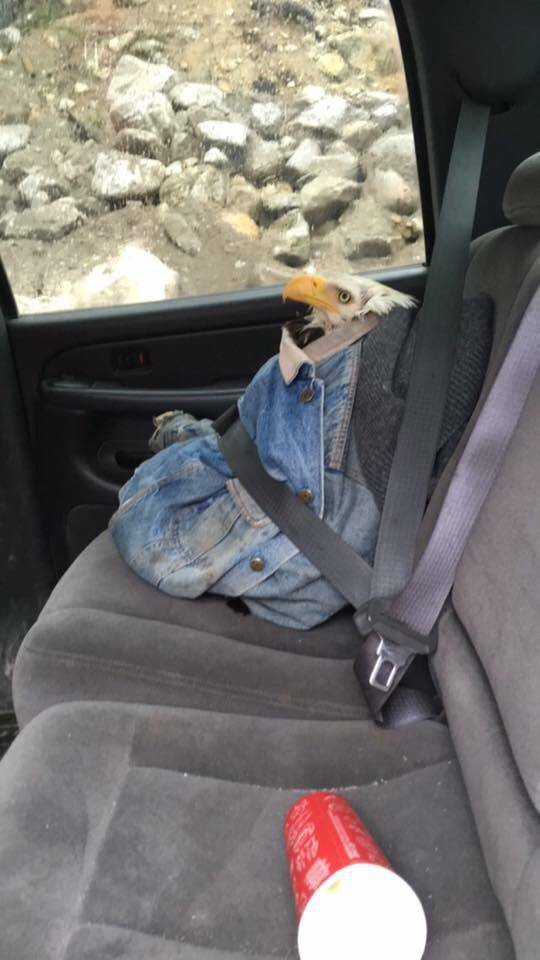 morning picdump 53 pics 15.html - 53 HD Photos | Premium Gallery 2017