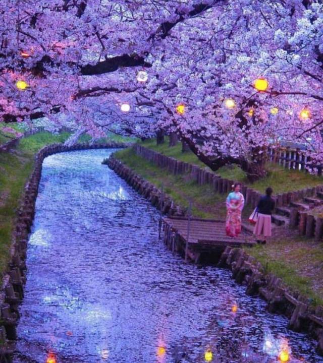 morning picdump 53 pics 15.html - 53 HD Photos | Premium Gallery 2017