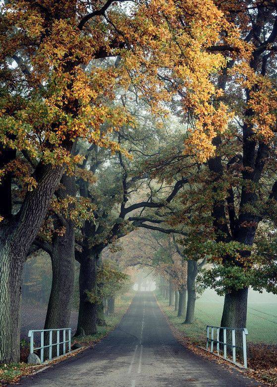 morning picdump 53 pics 15.html - 53 HD Photos | Premium Gallery 2017