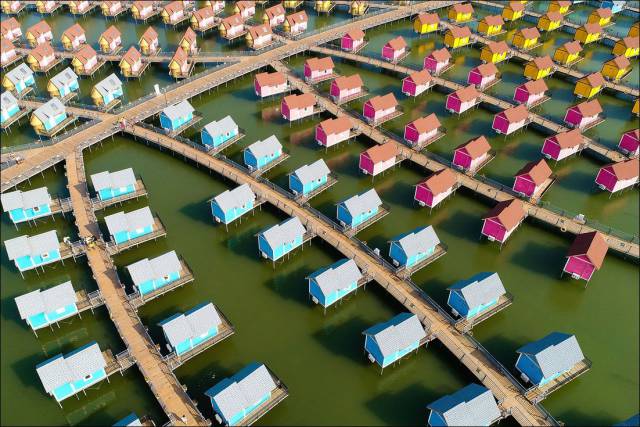 daily picdump 89 pics 15.html - 89 HD Photos | Premium Gallery 2017