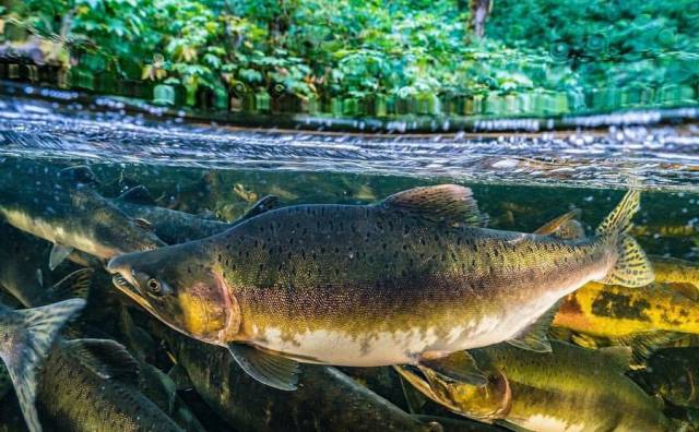 daily picdump 89 pics 15.html - 89 HD Photos | Premium Gallery 2017