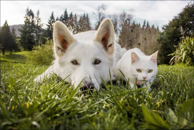 daily picdump 89 pics 15.html - 89 HD Photos | Premium Gallery 2017