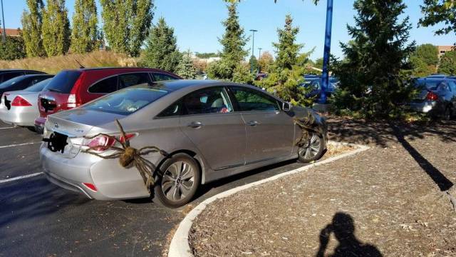 daily picdump 89 pics 15.html - 89 HD Photos | Premium Gallery 2017