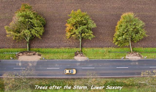 daily picdump 89 pics 15.html - 89 HD Photos | Premium Gallery 2017