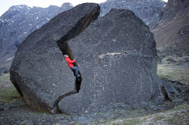 daily picdump 89 pics 15.html - 89 HD Photos | Premium Gallery 2017