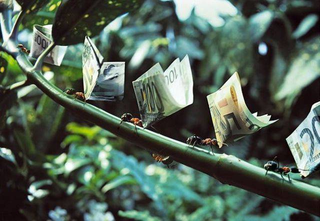 daily picdump 89 pics 15.html - 89 HD Photos | Premium Gallery 2017