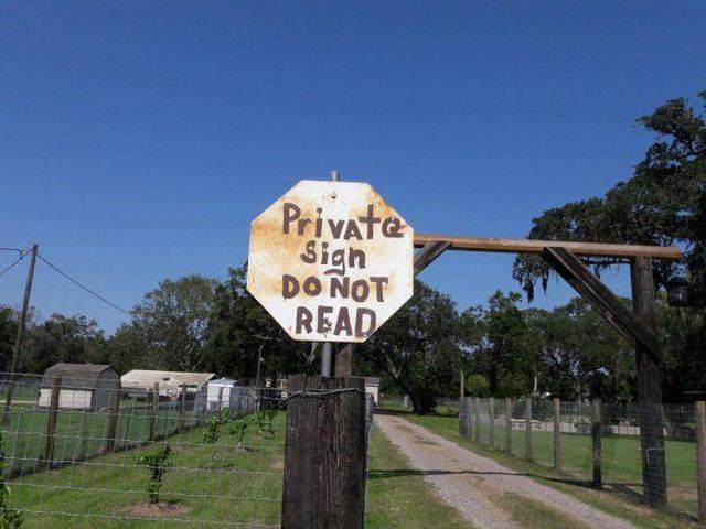 daily picdump 89 pics 15.html - 89 HD Photos | Premium Gallery 2017