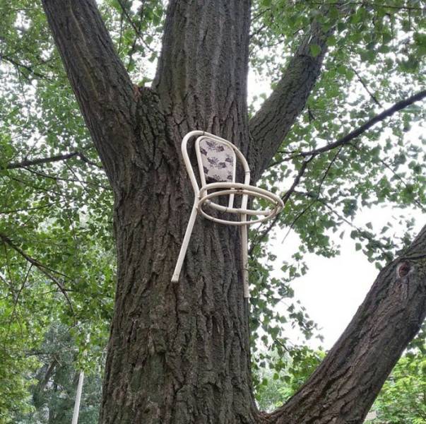 daily picdump 89 pics 15.html - 89 HD Photos | Premium Gallery 2017