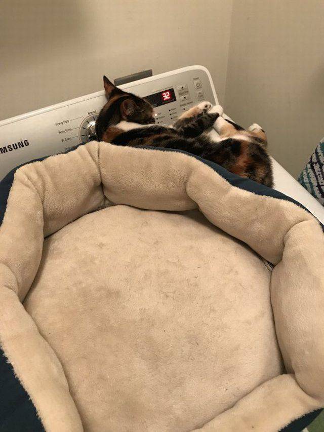 daily picdump 89 pics 15.html - 89 HD Photos | Premium Gallery 2017