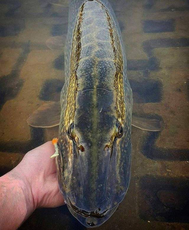 daily picdump 89 pics 15.html - 89 HD Photos | Premium Gallery 2017