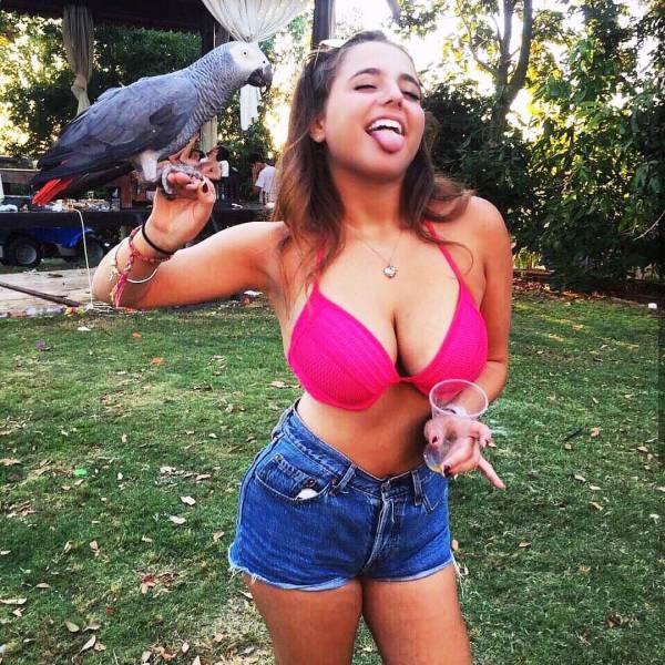 grownup corner 65 pics 13 gifs 2.html - 65 HD GIF | Premium Gallery 2017